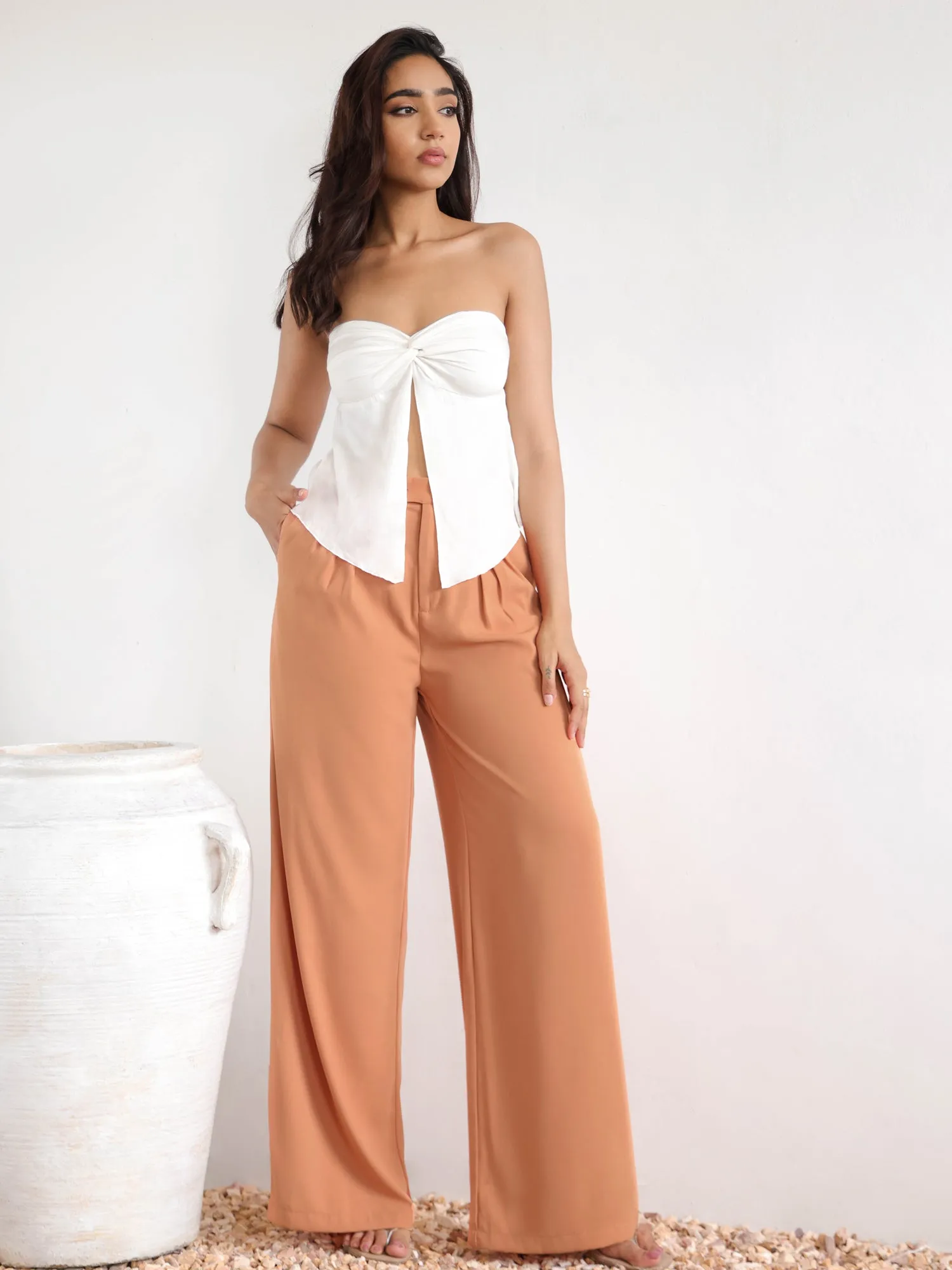 Front Pleated Wide Leg Pant