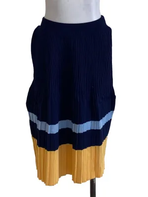 Navy Two Tone Pleated Skirt