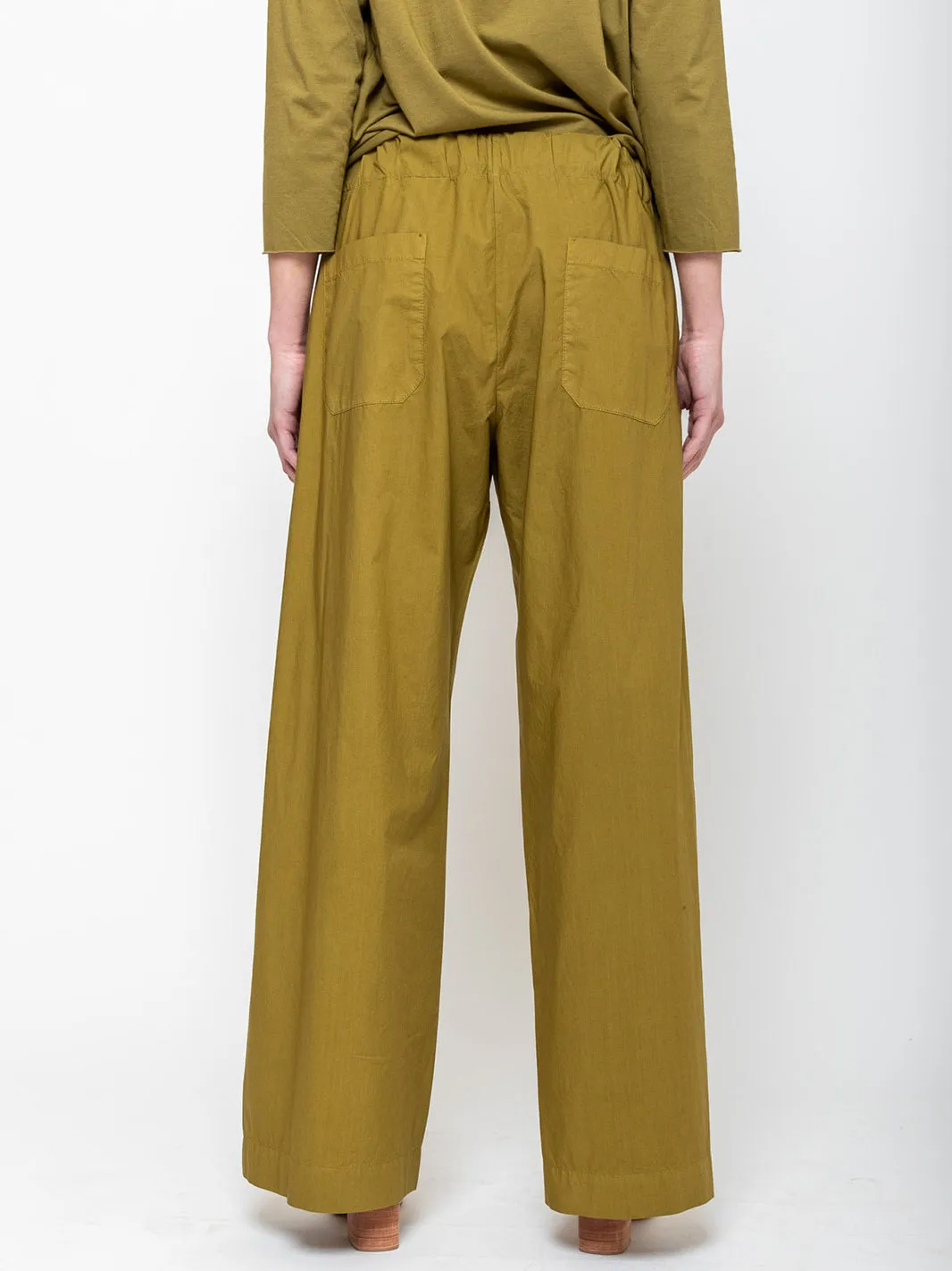Panta Diana - Cricket