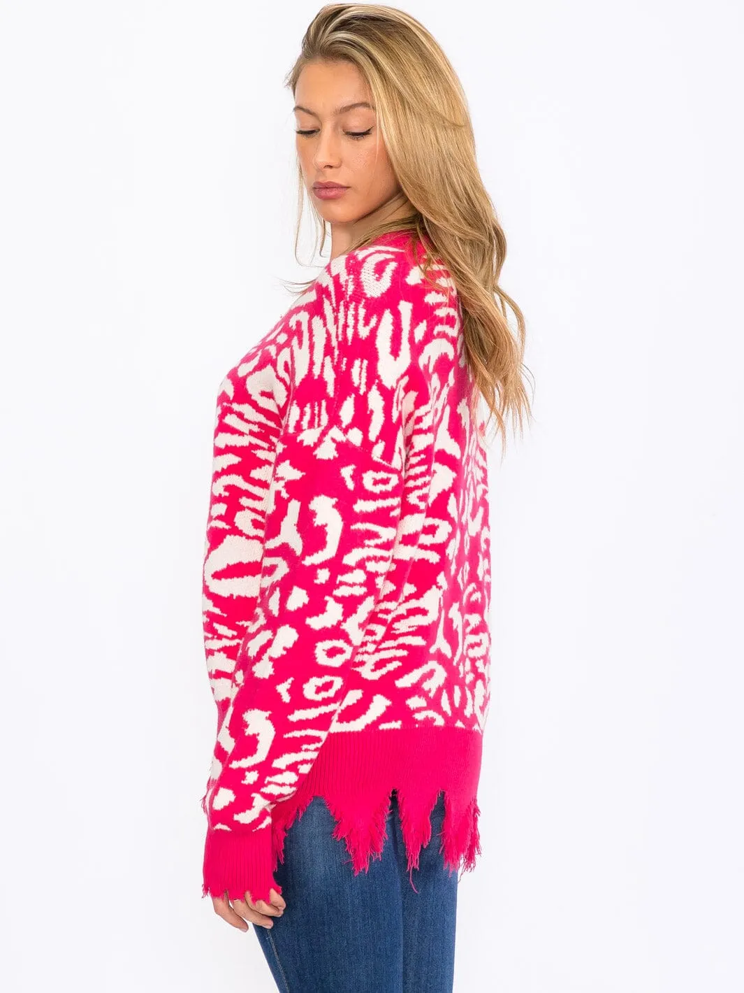 WOMEN'S LONG SLEEVES V-NECK PULLOVER COLORBLOCK ANIMAL PRINT SWEATER